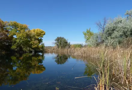 Santa Fe Botanical Garden