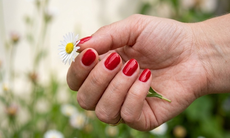 Image 3: Discover the Perfect Mani-Pedi Experience!