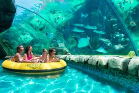 LIMITED TIME OFFER! Admission to Aquatica San Antonio Up to 45% Off)