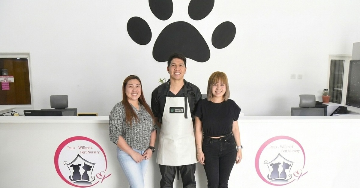 Pet Full Grooming Packages For Cats And Dogs Pet Full Grooming Packages For Cats And Dogs
