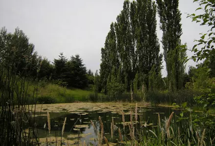 Waterworks Gardens