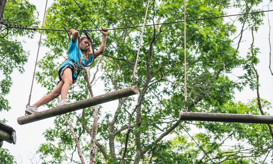Image 6: Up to 37% Off Adventure Course & Ziplines at Tree To Tree Cape May