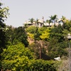 Image 10: Hollywood & Beverly Hills: Celebrity Homes & Iconic Landmarks Tour 