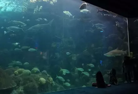 The Florida Aquarium