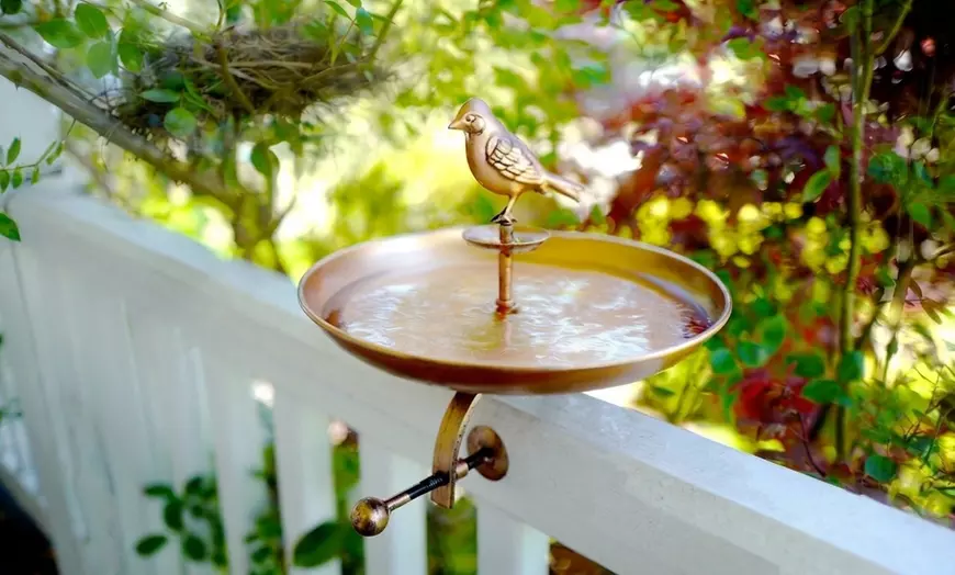 Pollinator Water Bath