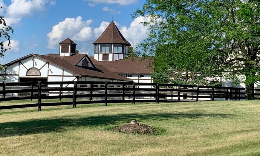Image 2: Horseback Riding Lessons for Solo Riders, Families and Groups