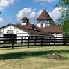 Image 2: Horseback Riding Lessons for Solo Riders, Families and Groups