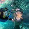 Image 1: Private VIP Manatee Encounters in Crystal River