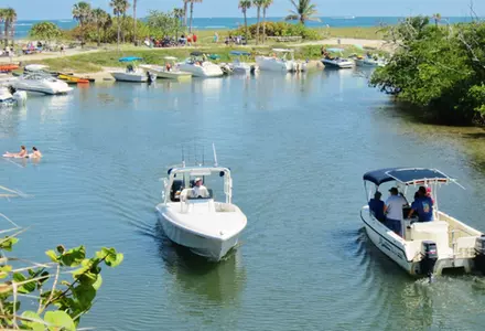 Dr. Von D. Mizell-Eula Johnson State Park