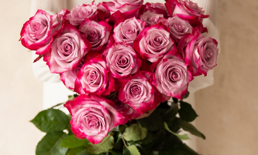 Image 19: *FLASH SALE* 24 or 36ct Roses Luxury Long Stem Rose Bouquet from Rose Farmers | Farm Fresh Roses (Up to 74% Off)