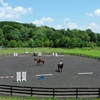 Image 2: Horseback Riding & Lessons – Loantaka Park Views in Morristown, NJ