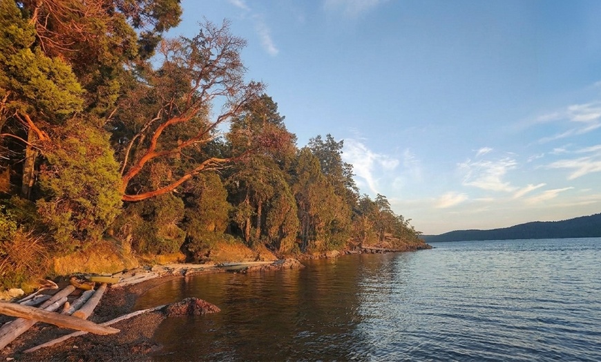 Image 7: Kayak Tours & Rentals: Bioluminescence and Whale Watching