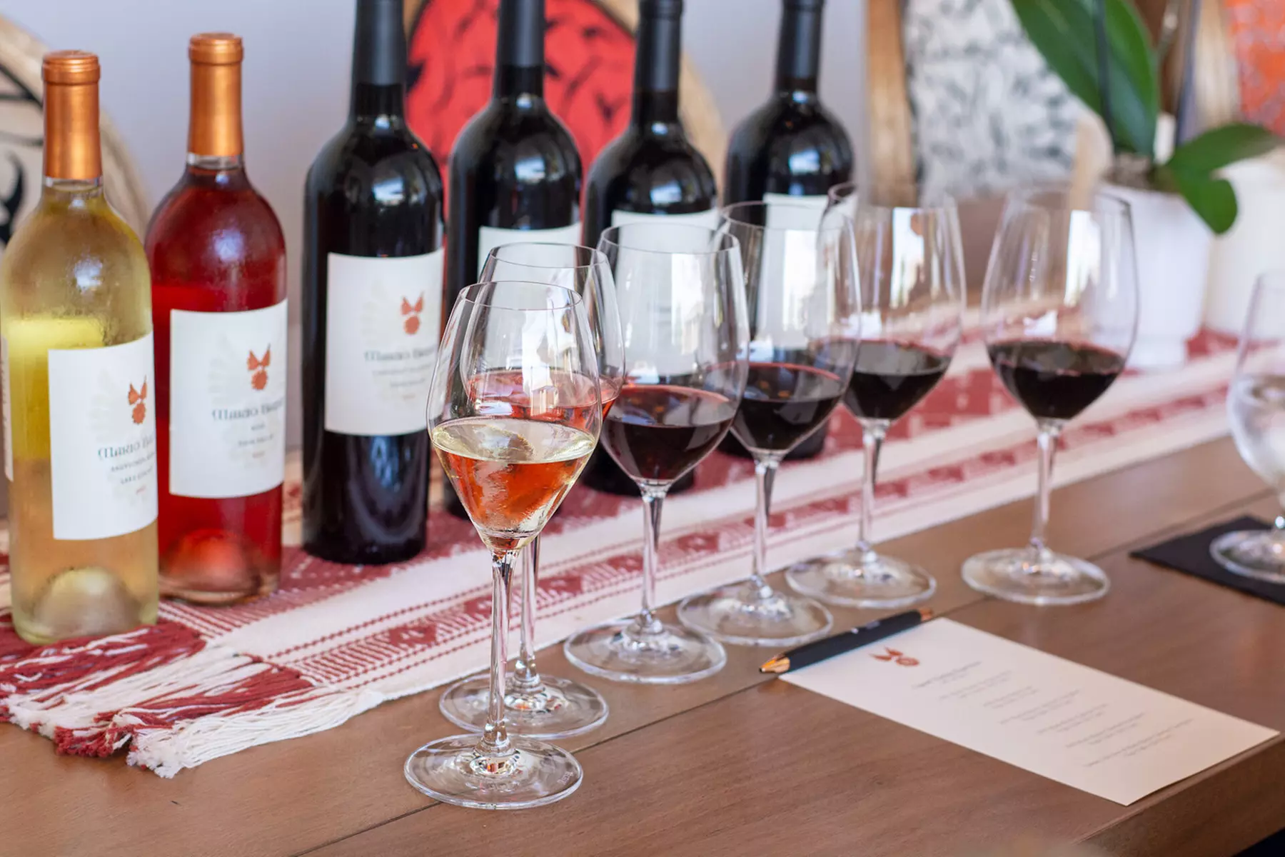 Guided Wine Tasting Experience for Couples or Small Groups