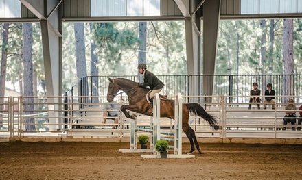 Children's Pony Camp - Borealis Equestrian LLC