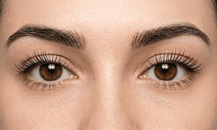 Eyebrow tinting - Cara Lash Studio