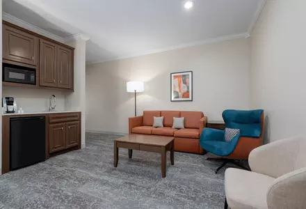 1 King Bed, 1-Bedroom Suite