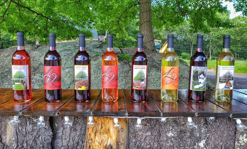 Image 5: Sip, Savor and Enjoy: Wine Tasting for 2 or 4 at Leyden Farm & Winery