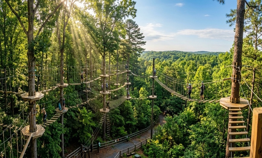 Image 2: Aerial Adventure Park & Ziplines at Treetop Quest Gwinnett