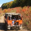 Image 11: Up to 30% Off an Off-Road Pinzgauer Barron Mountain Adventure