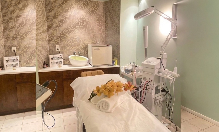 Image 6: Body Contouring Sessions with Consultation at Oasis of Life NY
