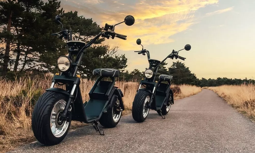 Ontdek geruisloos de natuur: 3 uur E-Chopper huren