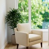 Image 4: Three Laser Hair Removal Sessions for Any Area