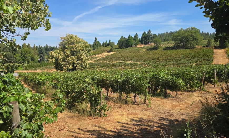 Image 11: Wine Tasting & Handcrafted Wines in a Historic Speakeasy for 1-6
