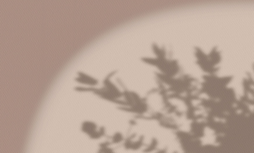 Image 11: Yoga Classes: Improve Flexibility & Reduce Stress