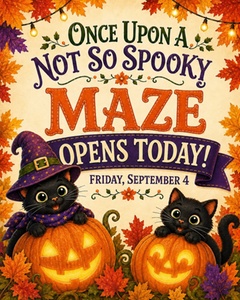 Single Ticket - Once Upon A Maze