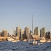 Image 4: Eco pedal boat rides for families and pets in San Diego Bay