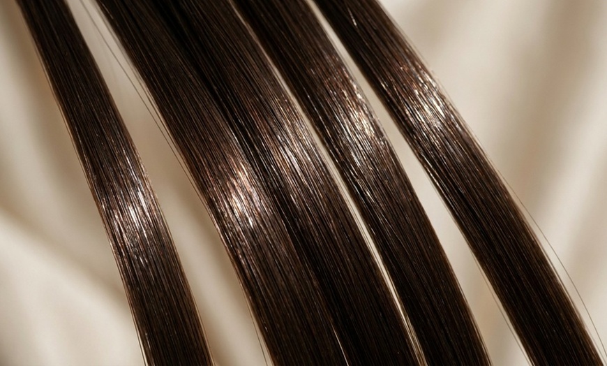 Image 7: Cut w/ Full Balayage or Root Touch Up, Deep Conditioning w/ Blow Dry