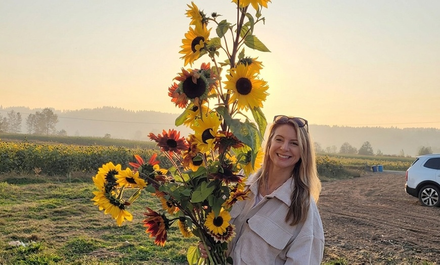 Image 3: U-Pick Sunflower Admission for One, a Mason Jar and Sunflowers