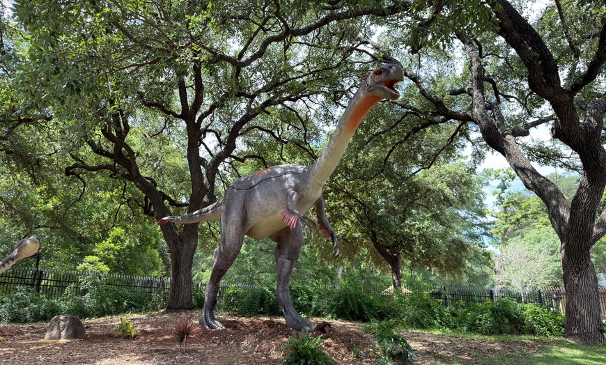 Image 24: San Antonio Zoo Discount Tickets & Savings!