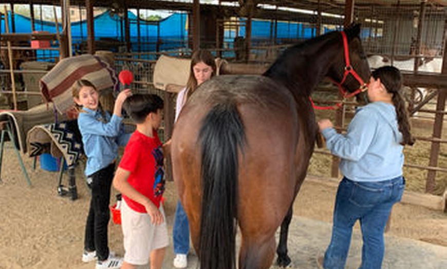 Image 4: Meet Ranch Animals w/ Balanced Beings Outdoor Recreation in Phoenix