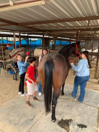 Meet Ranch Animals w/ Balanced Beings Outdoor Recreation in Phoenix