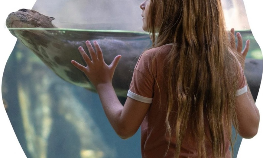 Image 8: Brevard Zoo Admission & Animal Encounters, Melbourne, FL