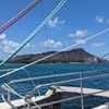 Image 8: Sail Away on a Spectacular 90-Minute TradeWind Sail for 2 or 4 Adults
