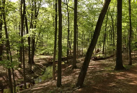 Rutgers Ecological Preserve