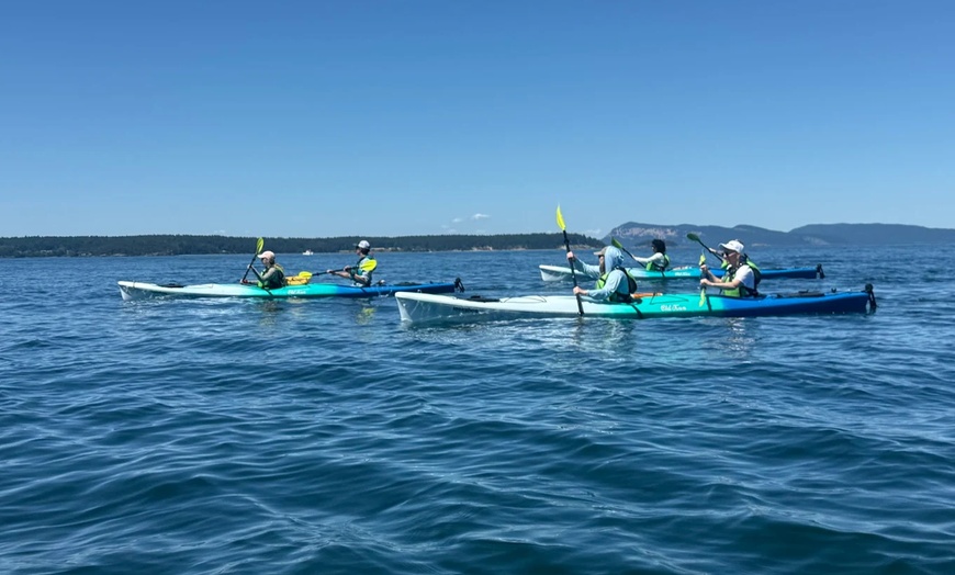 Image 2: Orcas Island Coastal Kayak Tour - Scenic San Juan Waters, Eastsound WA