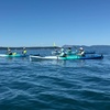 Image 2: Orcas Island Coastal Kayak Tour - Scenic San Juan Waters, Eastsound WA