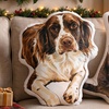 Image 3: Personalized 3D Pet Pillow - Up to 81% Off!