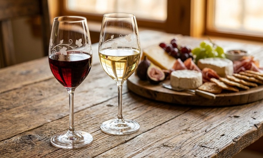 Image 3: Wine tasting experience for 2 or 4 with souvenir glasses