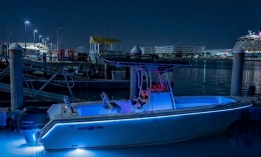 Image 2: Private Bioluminescent Boat Tour for up to 6