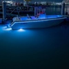 Image 2: Private Bioluminescent Boat Tour for up to 6