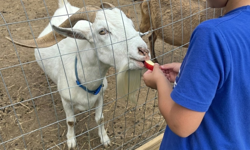 Image 5: Hands-On Farm Animal Fun at EZ's Rescue Ranch