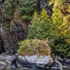Image 5: Boat Tours: Unparalleled City & Nature Views of Vancouver
