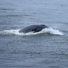 Image 7: Deep Sea Fishing Adventure with Rod, Reel & Bait Included at Belmar 