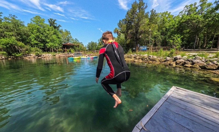 Image 2: Private VIP Manatee Encounters in Crystal River