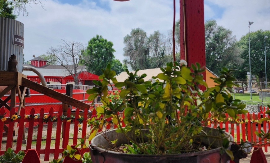 Image 17: Petting Zoo Admission Deals & Discounts