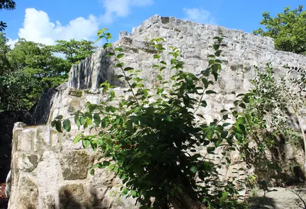 Museo Maya de Cancún & San Miguelito Archaeological Zone
